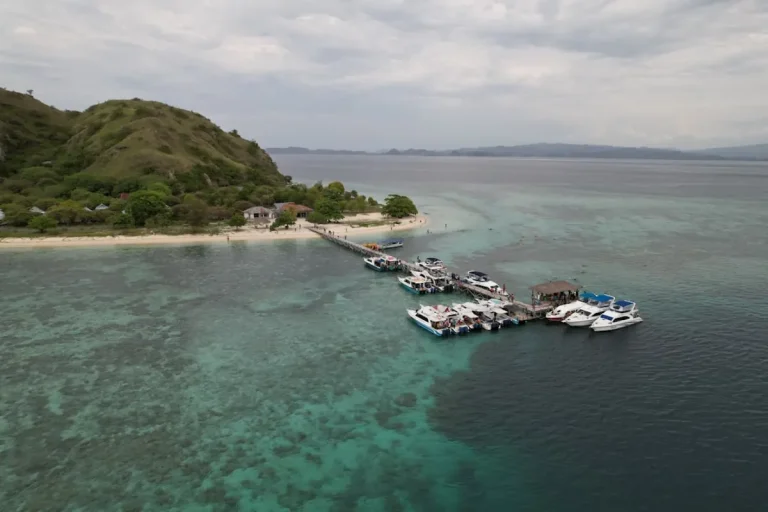 Tips for doing a private boat trip from Labuan Bajo with kids