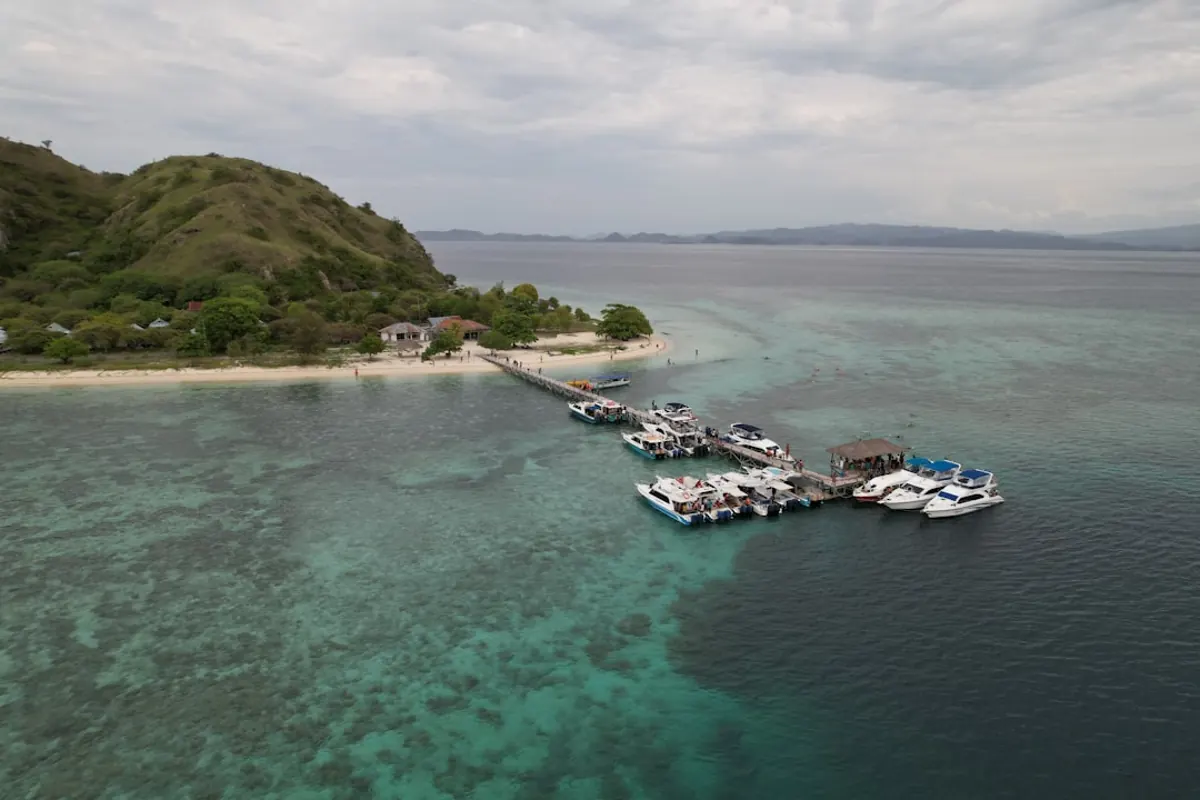 Tips for doing a private boat trip from Labuan Bajo with kids